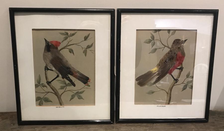 PAIR OF REAL FEATHER BIRD PICTURES