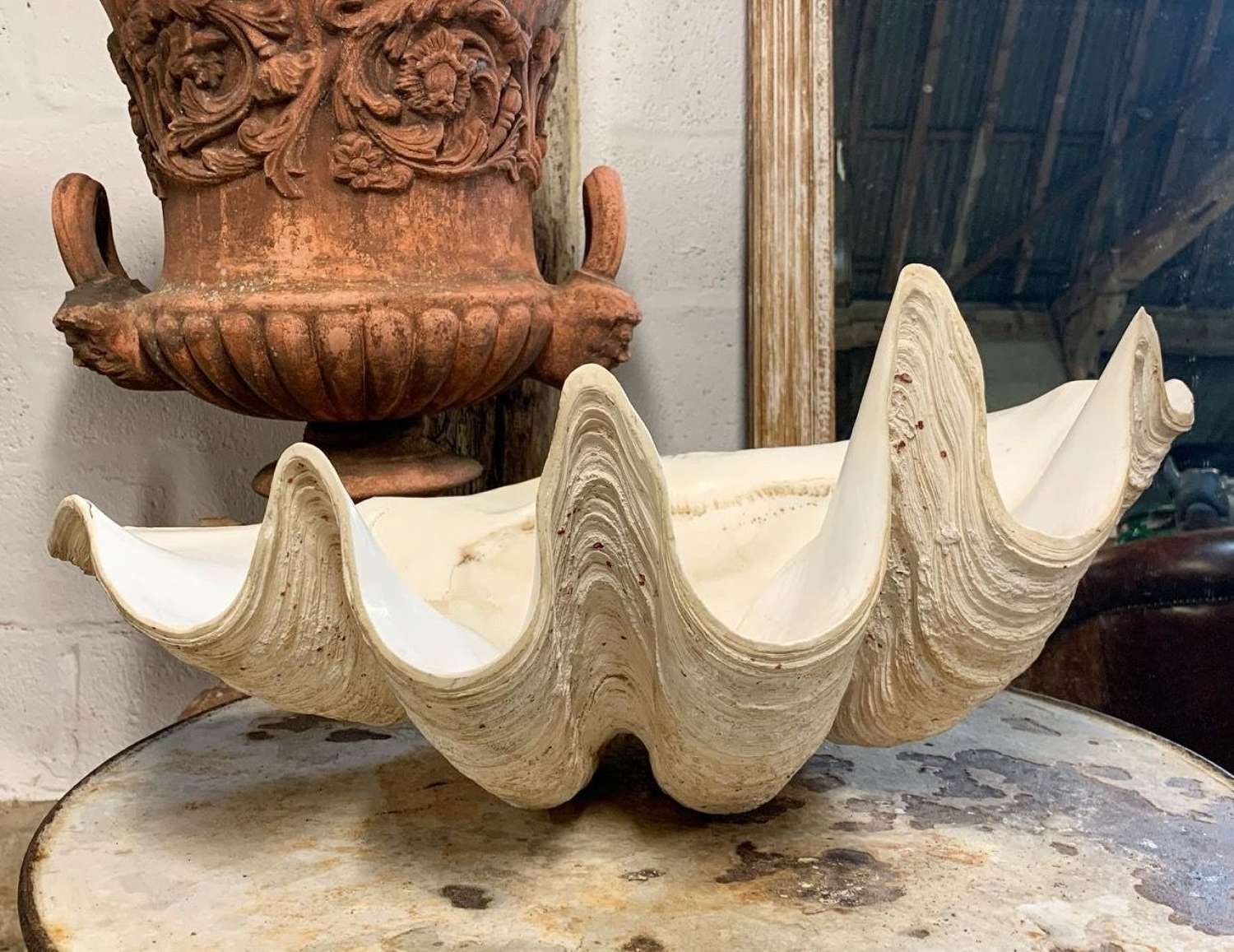 ANTIQUE GIANT CLAM SHELL