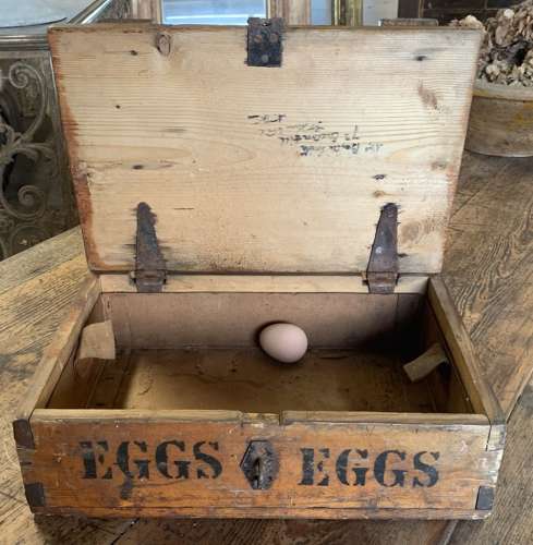 ANTIQUE EGG TRANSIT BOX
