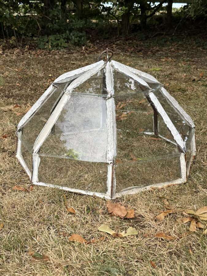 French Garden Cloche