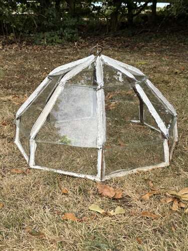 French Garden Cloche