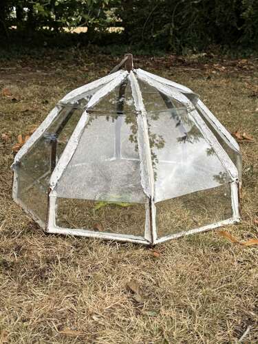 French Garden Cloche