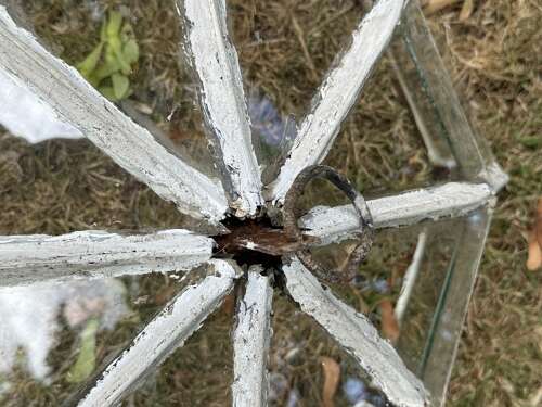 French Garden Cloche