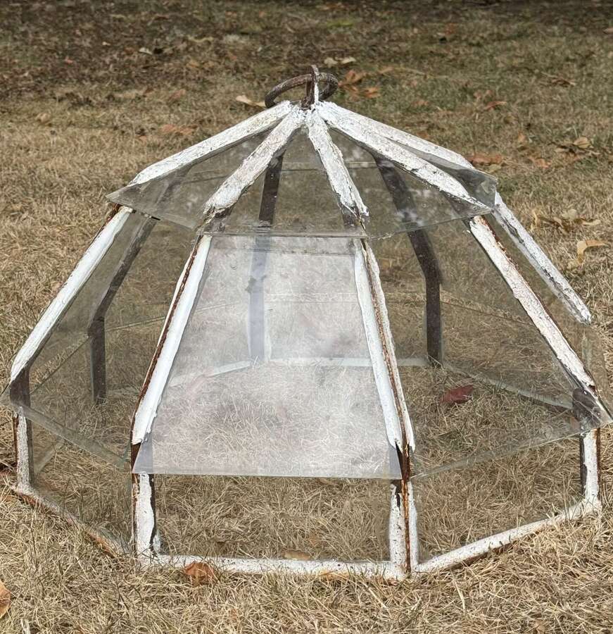 French Garden Cloche
