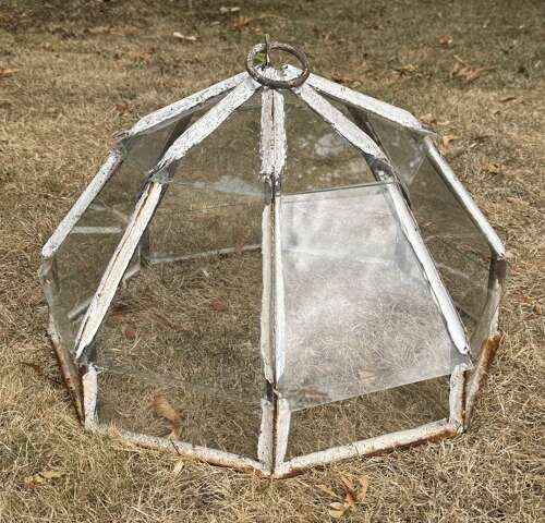 French Garden Cloche