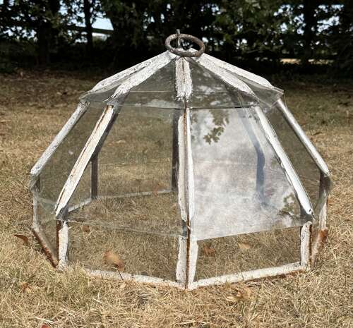 French Garden Cloche