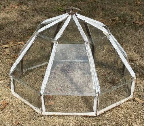 French Garden Cloche