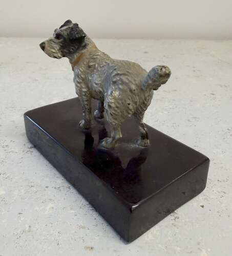 Early 20th Century Cold Painted Bronze Terrier