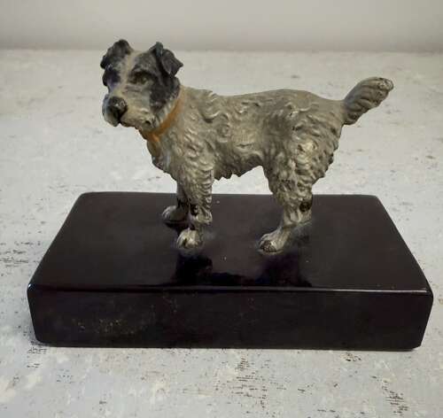 Early 20th Century Cold Painted Bronze Terrier
